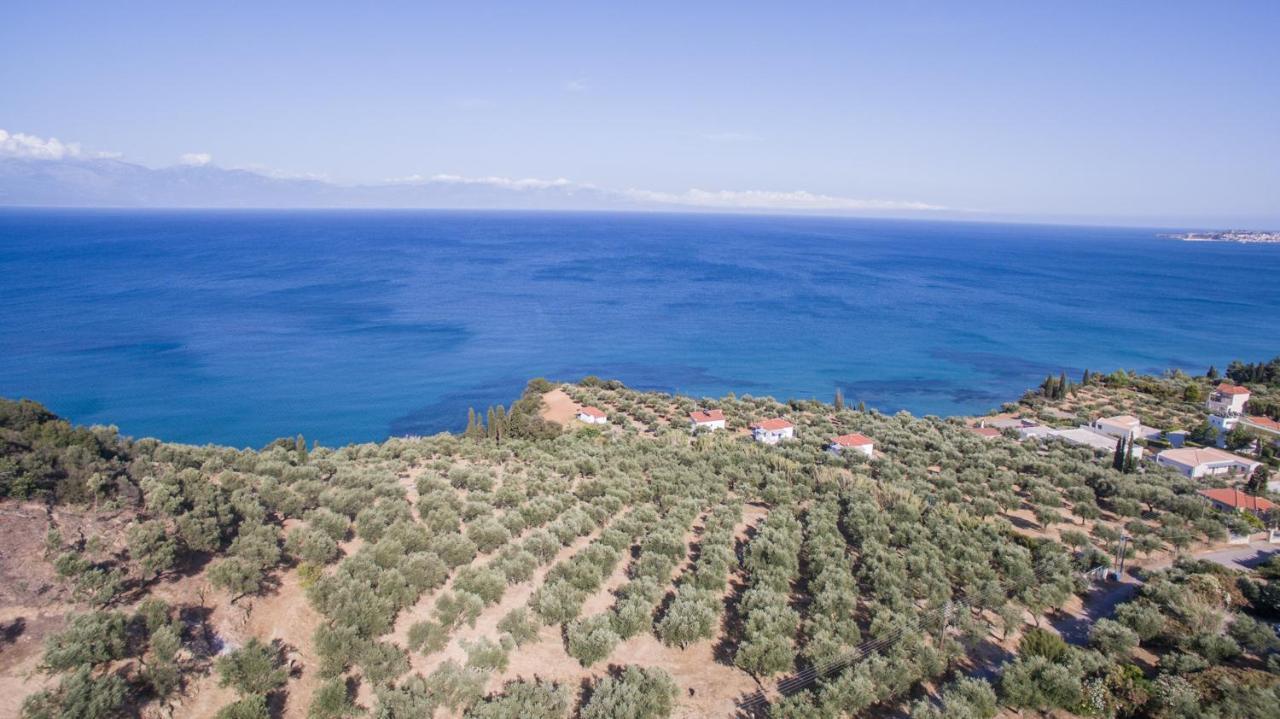 Κτήμα Παπαβασιλόπουλος 2 - Villa Koroni  Ngoại thất bức ảnh